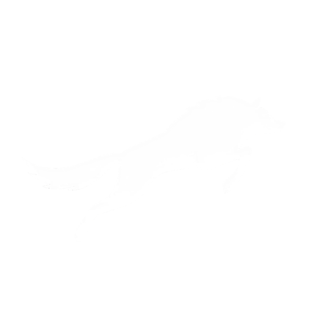 ScalingWolf AI